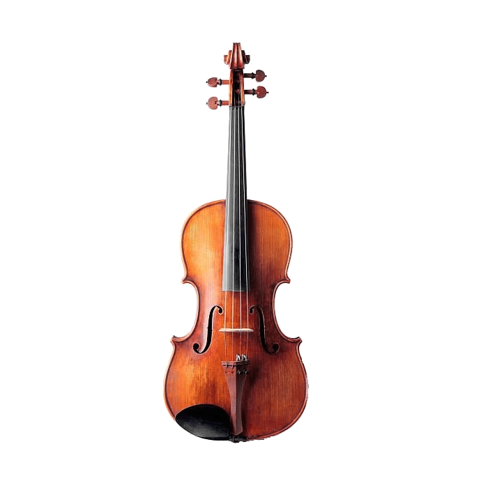 Violín