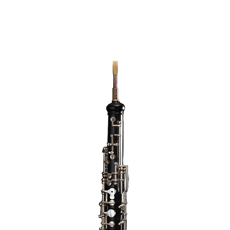 Oboe