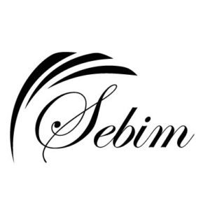 logo-sebim-396x235